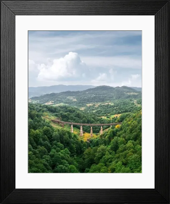 Framed Print : Old railway bridge in lush summer forest in Carpathians mountains, Ukraine. Landscape photography Framed Print : Old railway bridge in lush summer forest in Carpathians mountains, Ukraine. Landscape photography