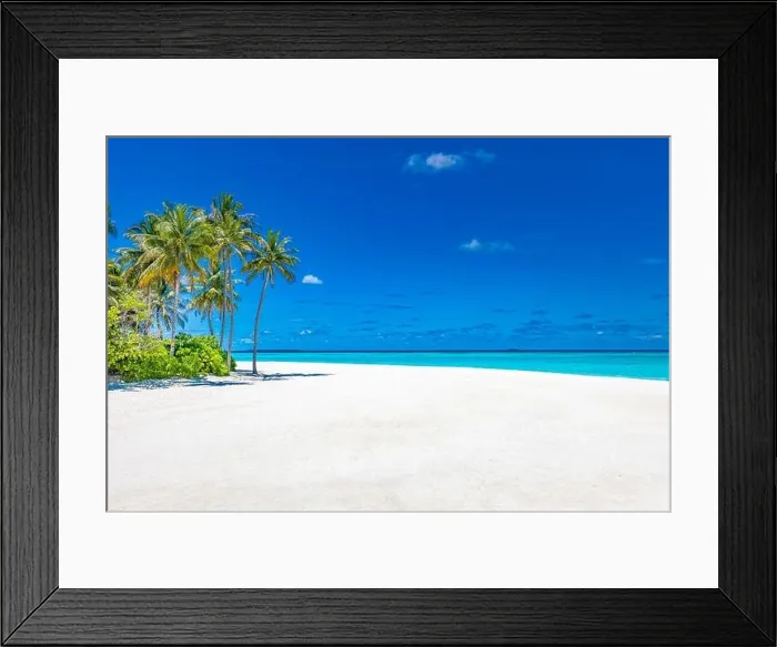 Framed Print : Beautiful tropical Maldives resort hotel island beach and sea and coconut palm tree on sky for holiday vacation background. Luxury travel landscape Framed Print : Beautiful tropical Maldives resort hotel island beach and sea and coconut palm tree on sky for holiday vacation background. Luxury travel landscape
