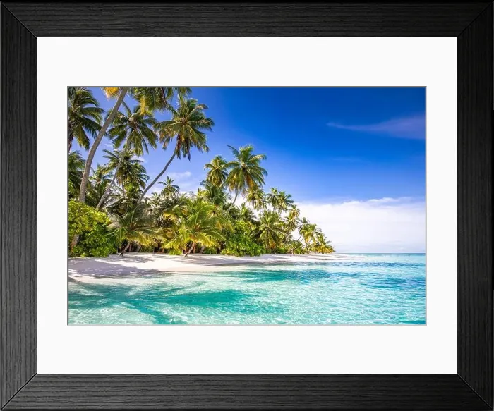 Framed Print : Tranquil beach scene. Sunny exotic tropical beach landscape. Summer vacation holiday concept. Luxury travel destination, idyllic nature, palms, sea