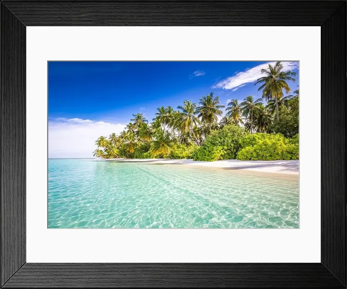 Framed Print : Tranquil beach scene. Sunny exotic tropical beach landscape. Summer vacation holiday concept. Luxury travel destination, idyllic nature, palms, sea Framed Print : Tranquil beach scene. Sunny exotic tropical beach landscape. Summer vacation holiday concept. Luxury travel destination, idyllic nature, palms, sea