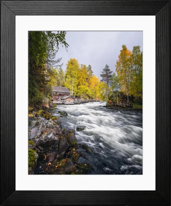 Framed Print : Scenic river landscape with beautiful fall colors at autumn day in National park, Finland Framed Print : Scenic river landscape with beautiful fall colors at autumn day in National park, Finland