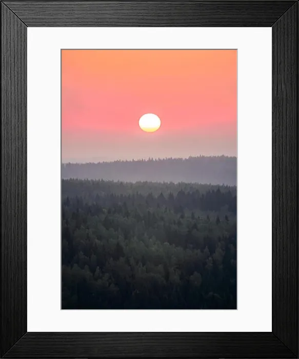 Framed Print : Scenic woodland landscape with rising sun at autumn morning in Finland Framed Print : Scenic woodland landscape with rising sun at autumn morning in Finland