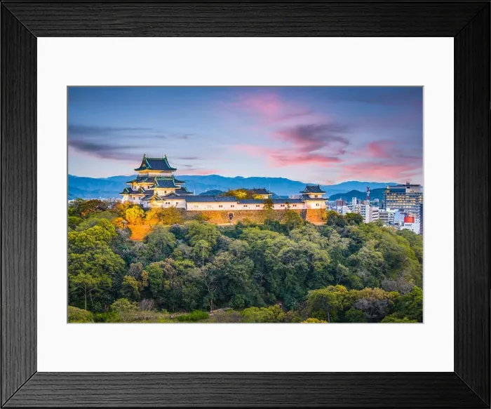 Framed Print : Wakayama City, Japan castle park and downtown cityscape at dusk Framed Print : Wakayama City, Japan castle park and downtown cityscape at dusk
