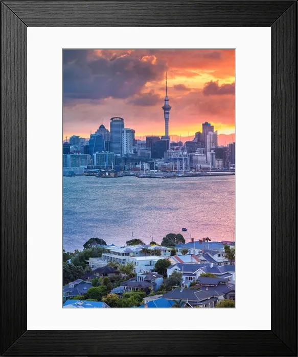 Framed Print : Auckland. Cityscape image of Auckland skyline, New Zealand during sunset with the Davenport in the foreground Framed Print : Auckland. Cityscape image of Auckland skyline, New Zealand during sunset with the Davenport in the foreground