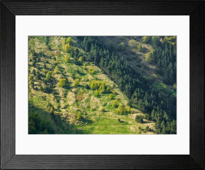 Framed Print : Mixed Green Forest Growing On A Hillside Mountain In Summer Season In Kazbegi District, Mtskheta-Mtianeti Region, Georgia, Top View, Aerial View Framed Print : Mixed Green Forest Growing On A Hillside Mountain In Summer Season In Kazbegi District, Mtskheta-Mtianeti Region, Georgia, Top View, Aerial View