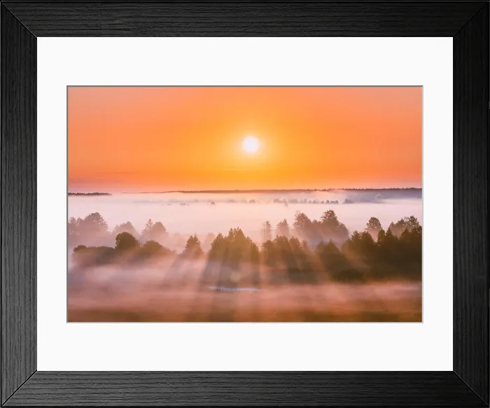 Framed Print : Amazing Sunrise Over Misty Landscape. Scenic View Of Foggy Morning Sky With Rising Sun Above Misty Forest. Middle Summer Nature Of Europe Framed Print : Amazing Sunrise Over Misty Landscape. Scenic View Of Foggy Morning Sky With Rising Sun Above Misty Forest. Middle Summer Nature Of Europe