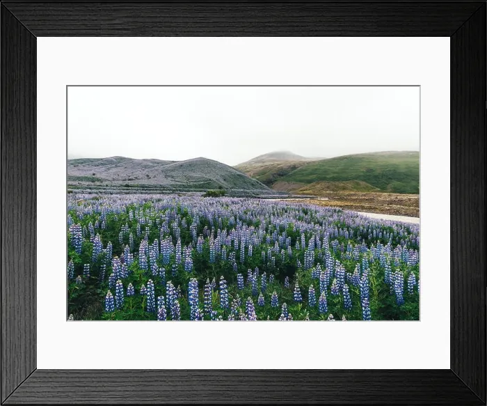 Framed Print : Typical Iceland landscape Framed Print : Typical Iceland landscape