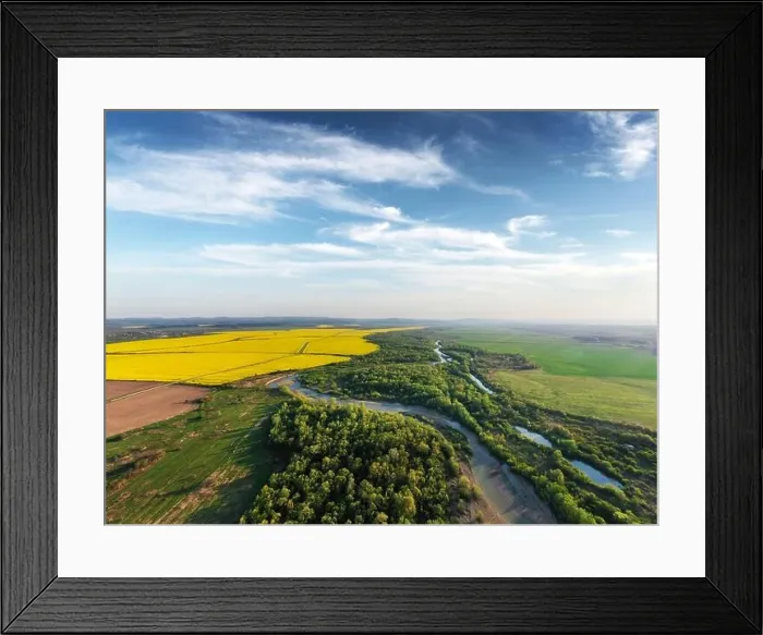 Framed Print : Flight through majestic river, lush green forest and blooming yellow rapeseed fields at sunset time. Landscape photography Framed Print : Flight through majestic river, lush green forest and blooming yellow rapeseed fields at sunset time. Landscape photography