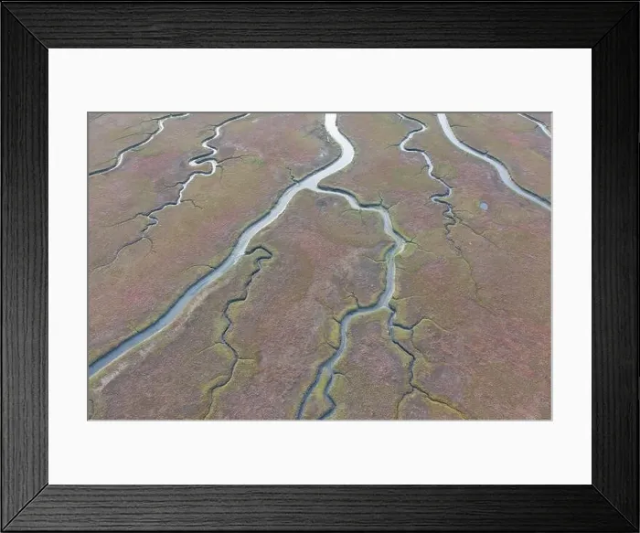 Framed Print : Narrow channels meander through a beautiful estuary in Central California. Estuaries form when freshwater runoff meets and mixes with seawater Framed Print : Narrow channels meander through a beautiful estuary in Central California. Estuaries form when freshwater runoff meets and mixes with seawater