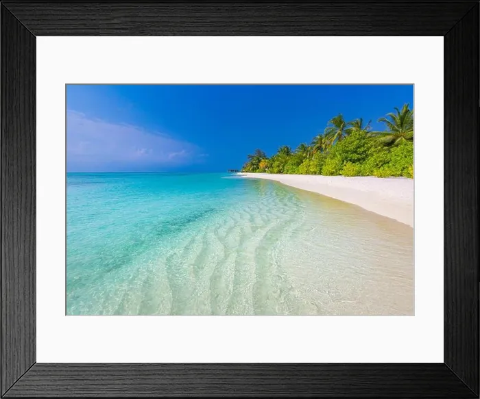 Framed Print : Maldives island beach. Tropical landscape of summer scenery, white sand with palm trees. Luxury travel vacation destination. Exotic beach landscape Framed Print : Maldives island beach. Tropical landscape of summer scenery, white sand with palm trees. Luxury travel vacation destination. Exotic beach landscape