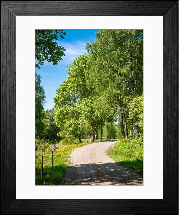 Framed Print : Scenic countryside landscape with curvy road and fence at sunny summer day at Finland Framed Print : Scenic countryside landscape with curvy road and fence at sunny summer day at Finland
