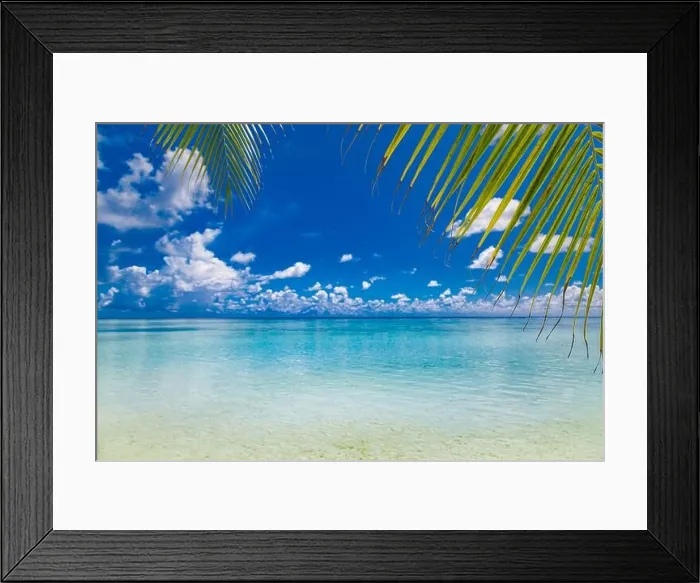 Framed Print : Stunning nature green palm leaf on tropical beach with bokeh sun light wave abstract background. Copy space of summer vacation business Framed Print : Stunning nature green palm leaf on tropical beach with bokeh sun light wave abstract background. Copy space of summer vacation business