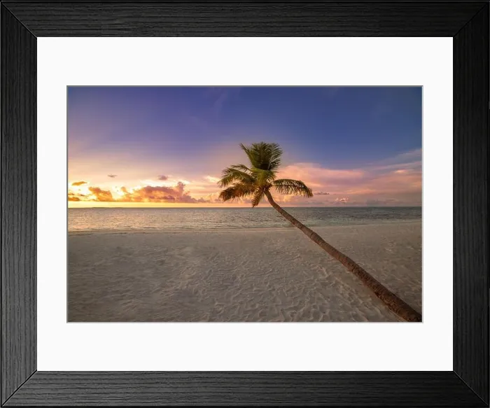 Framed Print : Long palm tree over soft sandy beach with seascape under sunset sky. Tropical island landscape, exotic nature scenic. Summer nature sunrise, relaxing Framed Print : Long palm tree over soft sandy beach with seascape under sunset sky. Tropical island landscape, exotic nature scenic. Summer nature sunrise, relaxing