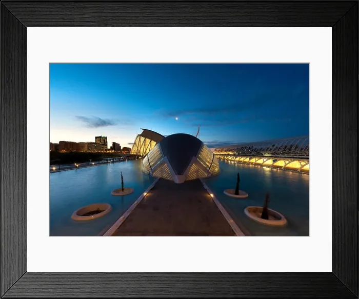 Framed Print : Museum of Science Prince Felipe before sunrise in Valencia, Spain Framed Print : Museum of Science Prince Felipe before sunrise in Valencia, Spain