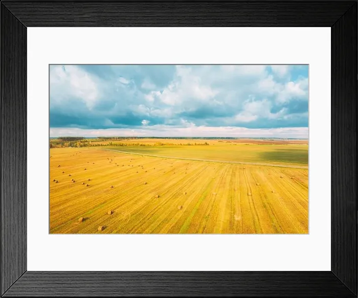 Framed Print : Aerial View Of Autumn Hay Rolls Straw Field Landscape. Haystacks, Hay Rolls. Harvest Season Framed Print : Aerial View Of Autumn Hay Rolls Straw Field Landscape. Haystacks, Hay Rolls. Harvest Season