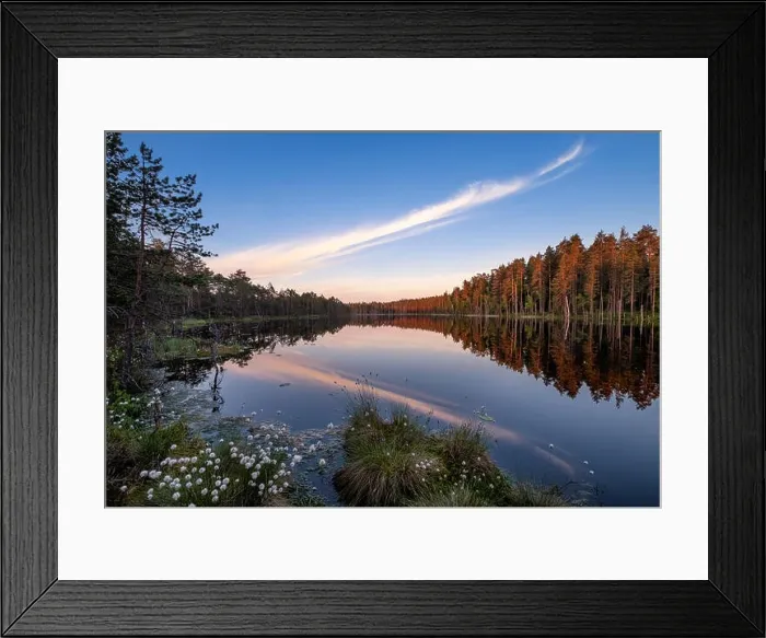 Framed Print : Scenic lake view with flowers and sunset at peaceful evening in Finland Framed Print : Scenic lake view with flowers and sunset at peaceful evening in Finland