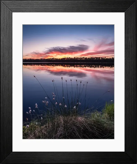 Framed Print : Scenic lake view with flowers and sunset at peaceful evening in Finland Framed Print : Scenic lake view with flowers and sunset at peaceful evening in Finland
