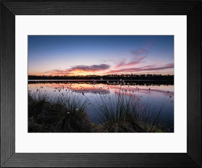 Framed Print : Scenic lake view with flowers and sunset at peaceful evening in Finland Framed Print : Scenic lake view with flowers and sunset at peaceful evening in Finland