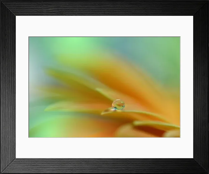 Framed Print : Beautiful macro shot of magic flowers.Border art design. Magic light.Extreme close up photography.Conceptual abstract image.Orange and Green Colors Framed Print : Beautiful macro shot of magic flowers.Border art design. Magic light.Extreme close up photography.Conceptual abstract image.Orange and Green Colors
