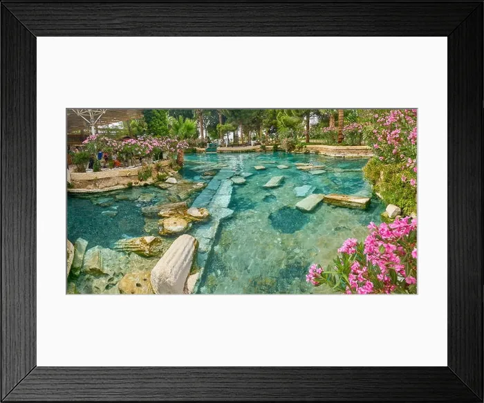 Framed Print : Cleopatra pool, blooming flowers, Hierapolis Ancient City, Pamukkale, Turkey Framed Print : Cleopatra pool, blooming flowers, Hierapolis Ancient City, Pamukkale, Turkey