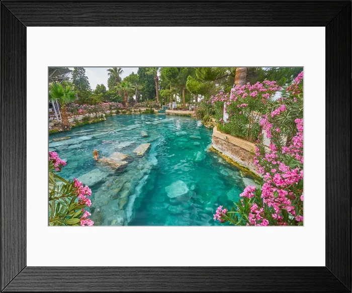 Framed Print : Cleopatra pool, blooming flowers, Hierapolis Ancient City, Pamukkale, Turkey Framed Print : Cleopatra pool, blooming flowers, Hierapolis Ancient City, Pamukkale, Turkey