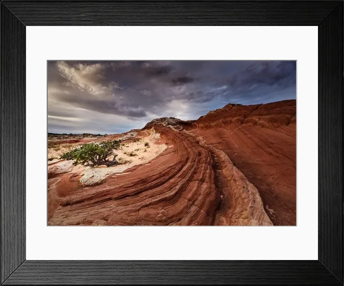 Framed Print : White Pocket rock formations, Vermilion Cliffs National Monument, Arizona, USA Framed Print : White Pocket rock formations, Vermilion Cliffs National Monument, Arizona, USA