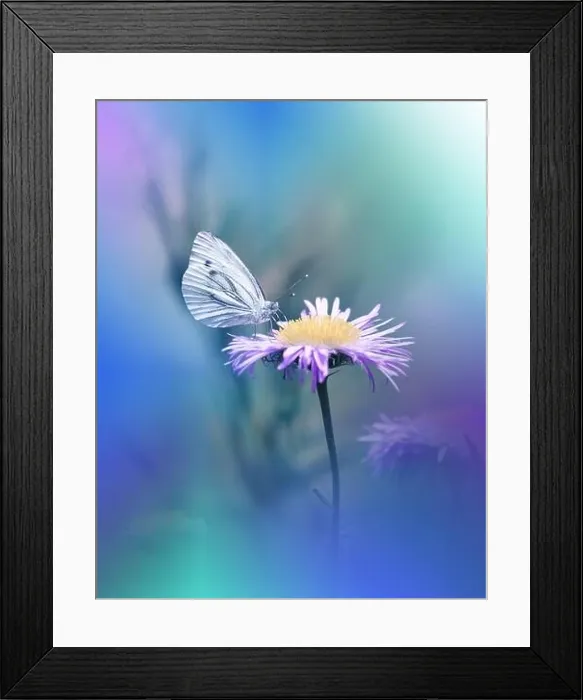 Framed Print : Beautiful Green Nature Background.Floral Art Design.Macro Photography.Butterfly and Wild Field.Creative Artistic Wallpaper.Summer Flowers.Copy Space Framed Print : Beautiful Green Nature Background.Floral Art Design.Macro Photography.Butterfly and Wild Field.Creative Artistic Wallpaper.Summer Flowers.Copy Space