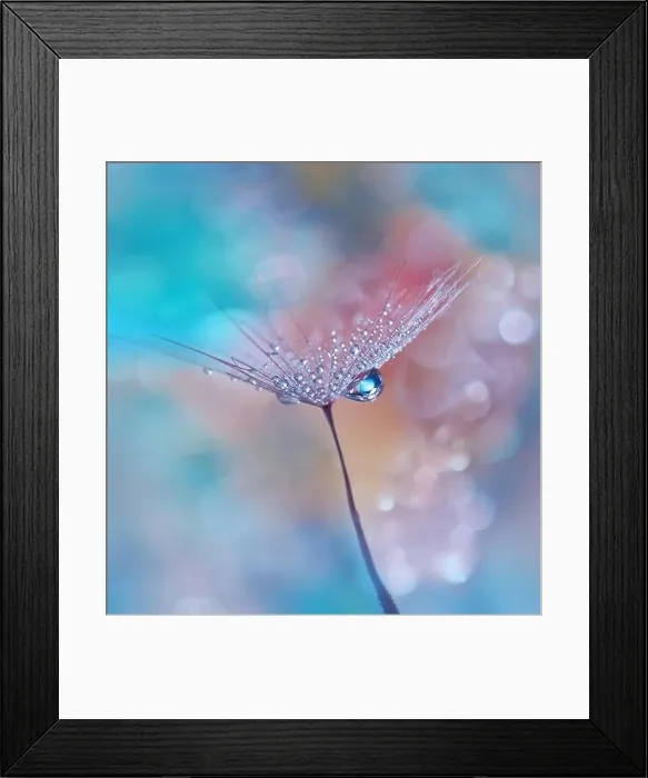 Framed Print : Beautiful Nature Background.Floral Art Design.Abstract Macro Photography.Pastel Flower.Dandelion Flowers.Blue Background.Creative Artistic Wallpaper Framed Print : Beautiful Nature Background.Floral Art Design.Abstract Macro Photography.Pastel Flower.Dandelion Flowers.Blue Background.Creative Artistic Wallpaper