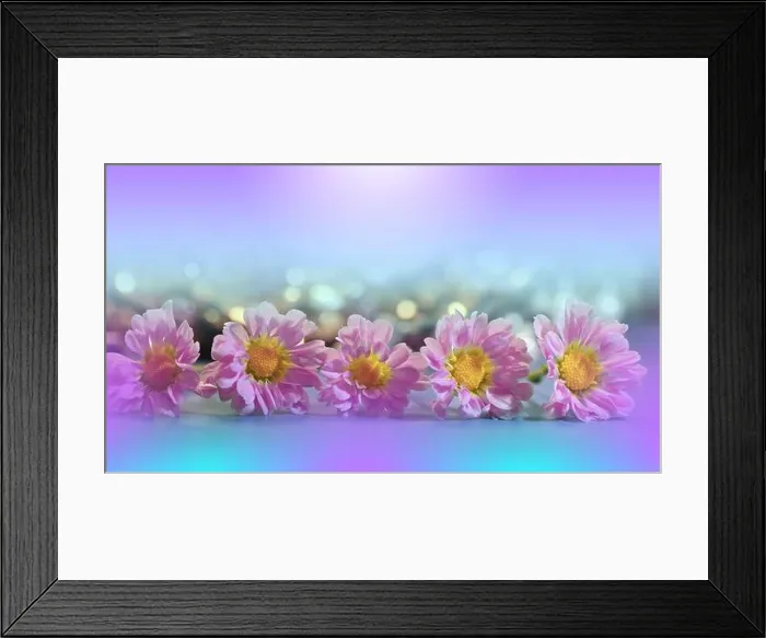 Framed Print : Beautiful Nature Background.Floral Art Design.Abstract Macro Photography.Daisy Flower.Violet Background.Creative Artistic Wallpaper.Wedding Invitation Framed Print : Beautiful Nature Background.Floral Art Design.Abstract Macro Photography.Daisy Flower.Violet Background.Creative Artistic Wallpaper.Wedding Invitation