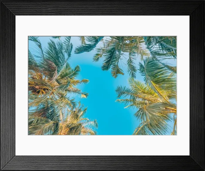 Framed Print : Palm trees with sky in the background. Vacation under a palm tree on the shore of the island under a blue sky in the tropics, artistic nature view Framed Print : Palm trees with sky in the background. Vacation under a palm tree on the shore of the island under a blue sky in the tropics, artistic nature view
