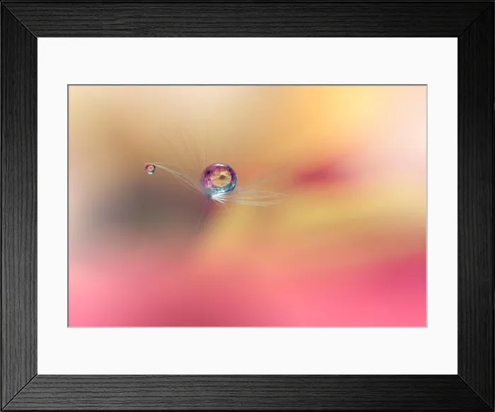 Framed Print : Beautiful Nature Background.Floral Art Design.Abstract Macro Photography.Pastel Flower.Dandelion Flowers.Yellow Background.Creative Artistic Wallpaper Framed Print : Beautiful Nature Background.Floral Art Design.Abstract Macro Photography.Pastel Flower.Dandelion Flowers.Yellow Background.Creative Artistic Wallpaper
