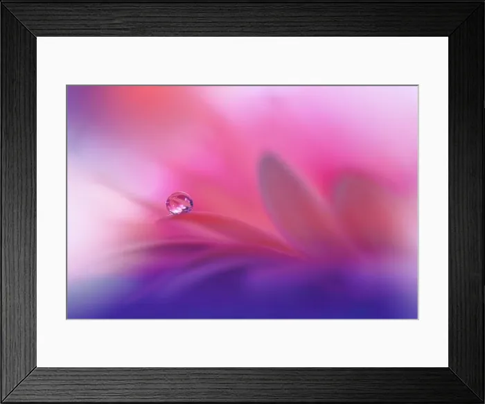 Framed Print : Beautiful macro shot of magic flowers.Border art design.Magic light.Extreme close up macro photography.Conceptual abstract image.Violet and Pink Color Framed Print : Beautiful macro shot of magic flowers.Border art design.Magic light.Extreme close up macro photography.Conceptual abstract image.Violet and Pink Color