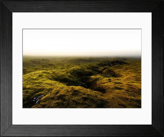 Framed Print : Moss field in Iceland Framed Print : Moss field in Iceland