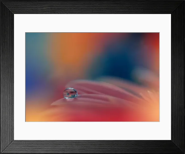 Framed Print : Beautiful macro shot of magic flowers.Border art design. Magic light.Extreme close up macro photography.Conceptual abstract image.Orange and Blue Drop Framed Print : Beautiful macro shot of magic flowers.Border art design. Magic light.Extreme close up macro photography.Conceptual abstract image.Orange and Blue Drop