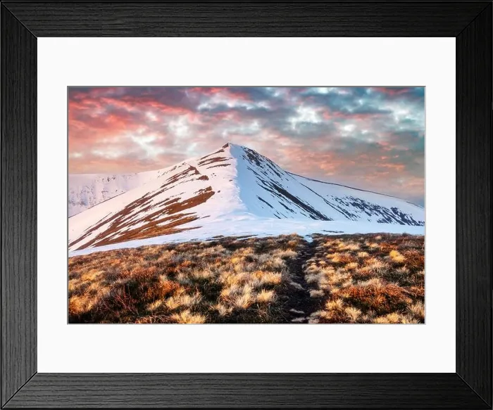 Framed Print : View of the grassy hills with orange tussocks and snowy mountains on background. Dramatic spring scene. Landscape photography Framed Print : View of the grassy hills with orange tussocks and snowy mountains on background. Dramatic spring scene. Landscape photography