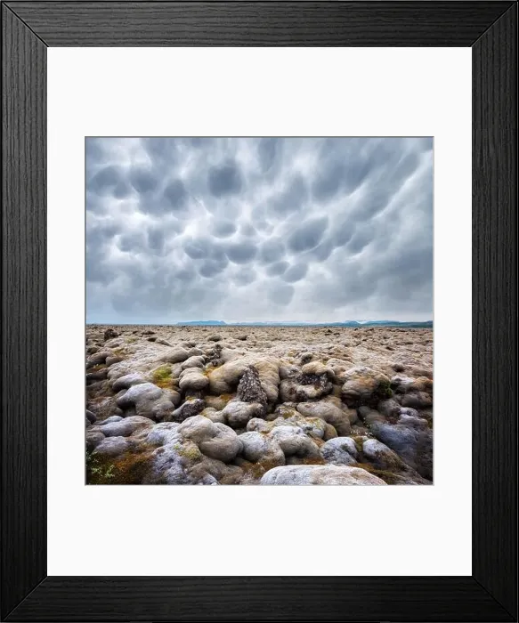 Framed Print : Offbeat Iceland landscape with lava field covered with brown moss Eldhraun from volcano eruption and cloudy sky Framed Print : Offbeat Iceland landscape with lava field covered with brown moss Eldhraun from volcano eruption and cloudy sky