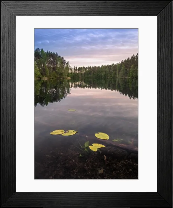 Framed Print : Scenic lake landscape with bright water and evening light at summer in Loppi, Finland Framed Print : Scenic lake landscape with bright water and evening light at summer in Loppi, Finland