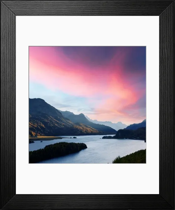 Framed Print : Aerial view on autumn lake Sils (Silsersee) in Swiss Alps mountains. Colorful forest with orange larch. Switzerland, Maloja region, Upper Engadine Framed Print : Aerial view on autumn lake Sils (Silsersee) in Swiss Alps mountains. Colorful forest with orange larch. Switzerland, Maloja region, Upper Engadine