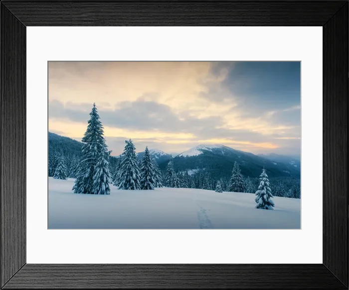 Framed Print : Dramatic wintry scene with snowy trees Framed Print : Dramatic wintry scene with snowy trees