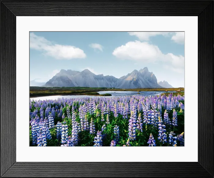 Framed Print : Famous Stokksnes mountains on Vestrahorn cape Framed Print : Famous Stokksnes mountains on Vestrahorn cape