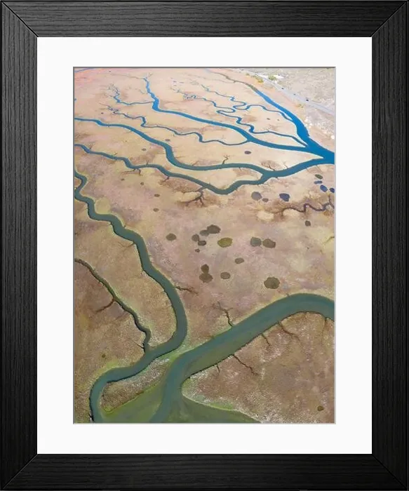 Framed Print : Meandering channels run through a beautiful estuary in Central California. Estuaries form when freshwater runoff meets and mixes with seawater Framed Print : Meandering channels run through a beautiful estuary in Central California. Estuaries form when freshwater runoff meets and mixes with seawater