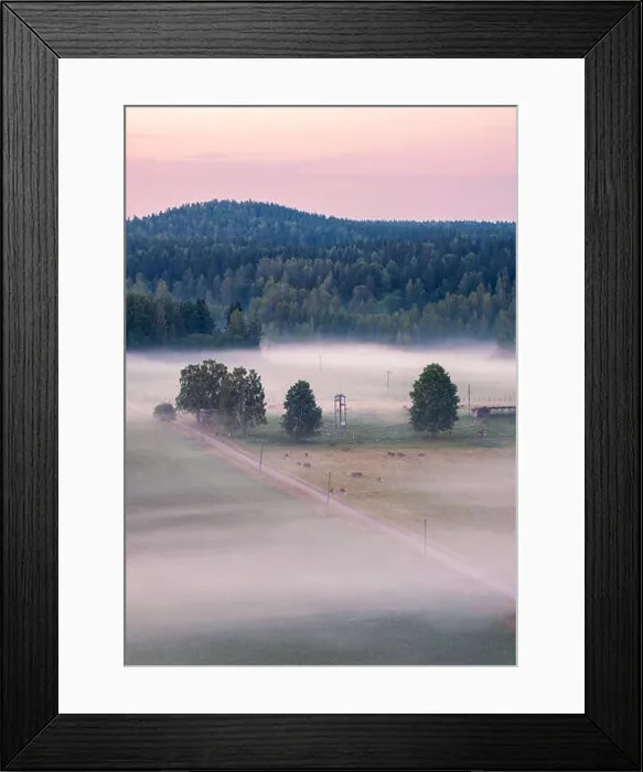 Framed Print : Beautiful landscape view with fog and meadow at summer evening in countryside, Finland