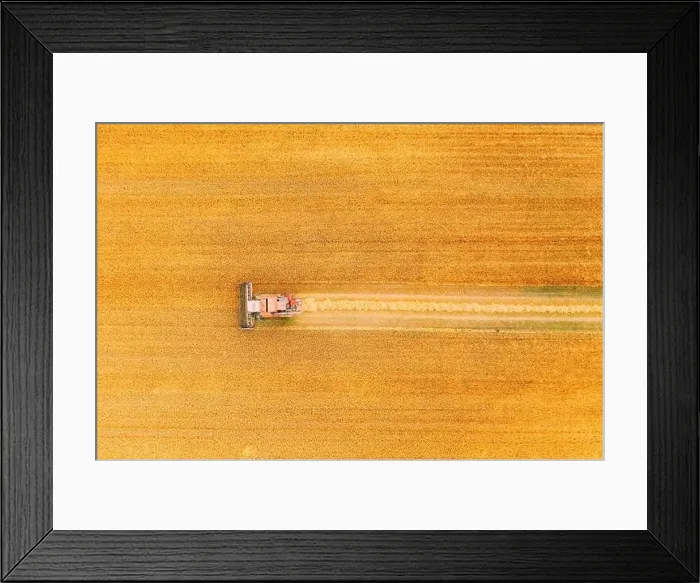 Framed Print : Aerial View Combine Harvester Working In Field. Harvesting Of Wheat In Summer Season. Agricultural Machines Collecting Wheat Seeds Framed Print : Aerial View Combine Harvester Working In Field. Harvesting Of Wheat In Summer Season. Agricultural Machines Collecting Wheat Seeds