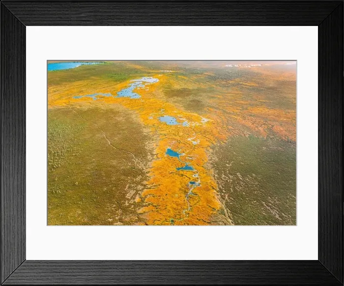 Framed Print : Miory District, Vitebsk Region, Belarus. The Yelnya Swamp. Upland And Transitional Bogs With Numerous Lakes. Elevated Aerial View Of Yelnya Nature Framed Print : Miory District, Vitebsk Region, Belarus. The Yelnya Swamp. Upland And Transitional Bogs With Numerous Lakes. Elevated Aerial View Of Yelnya Nature