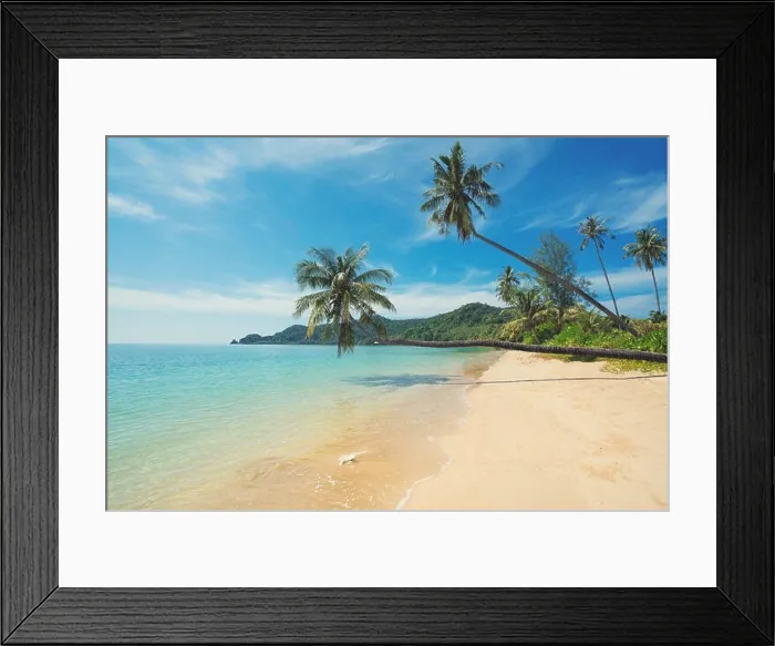 Framed Print : Coconut palm tree over summer beach sea in Phuket, Thailand. Summer, Travel, Vacation and Holiday concept Framed Print : Coconut palm tree over summer beach sea in Phuket, Thailand. Summer, Travel, Vacation and Holiday concept