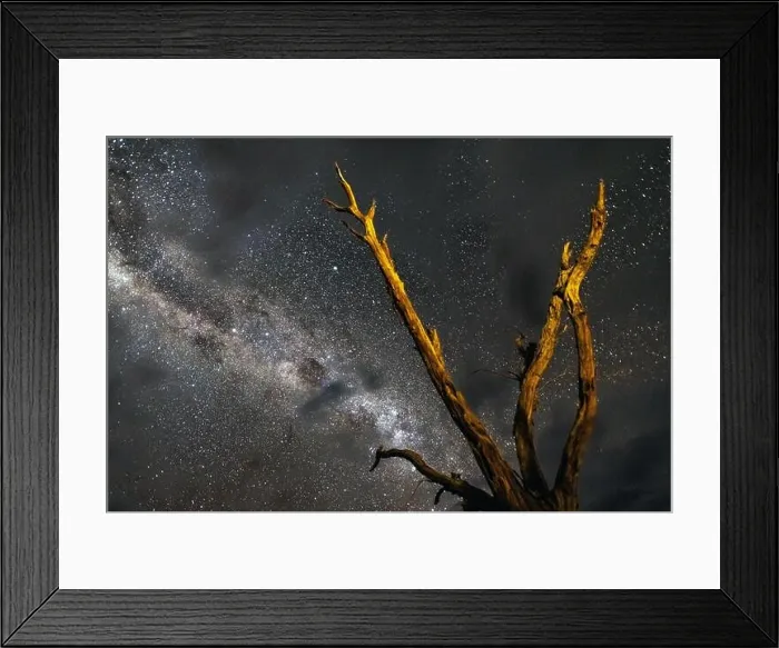 Framed Print : Dead trees at Deadvlei at night in the southern part of the Namib Desert, in the Namib-Naukluft National Park of Namibia. Landscape photography Framed Print : Dead trees at Deadvlei at night in the southern part of the Namib Desert, in the Namib-Naukluft National Park of Namibia. Landscape photography
