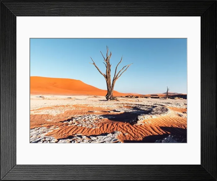 Framed Print : Dead Camelthorn Trees at sunrise, Deadvlei, Namib-Naukluft National Park, Namibia, Africa. Dried trees in Namib desert. Landscape photography Framed Print : Dead Camelthorn Trees at sunrise, Deadvlei, Namib-Naukluft National Park, Namibia, Africa. Dried trees in Namib desert. Landscape photography