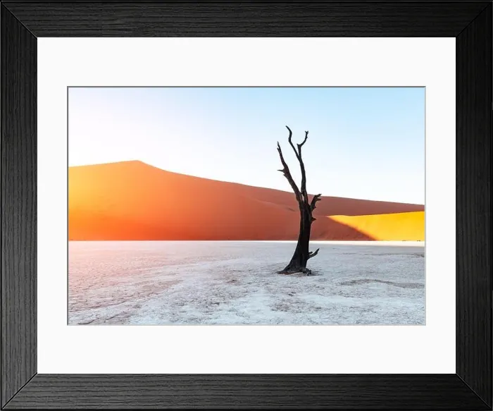Framed Print : Dead Camelthorn Trees at sunrise, Deadvlei, Namib-Naukluft National Park, Namibia, Africa. Dried trees in Namib desert. Landscape photography Framed Print : Dead Camelthorn Trees at sunrise, Deadvlei, Namib-Naukluft National Park, Namibia, Africa. Dried trees in Namib desert. Landscape photography