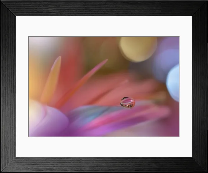 Framed Print : Beautiful macro shot of magic flowers.Border art design. Magic light.Extreme close up macro photography.Conceptual abstract image.Violet and Pink Drop Framed Print : Beautiful macro shot of magic flowers.Border art design. Magic light.Extreme close up macro photography.Conceptual abstract image.Violet and Pink Drop