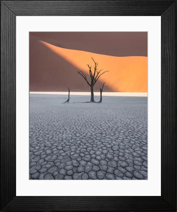 Framed Print : Dead Camelthorn Trees at sunrise Framed Print : Dead Camelthorn Trees at sunrise